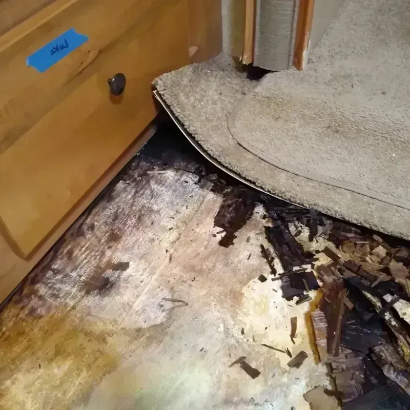 Wood Floor Water Damage in Bremerton, WA